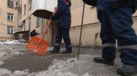 В Жилищном комитете рассказали, сколько дворников не хватает Петербургу