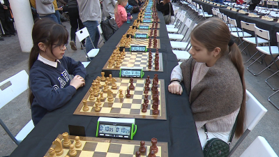 В Петербурге стартовал шахматный фестиваль в честь 100-летия знаменитого гроссмейстера Марка Тайманова