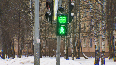 Пешеходы мёрзнут, машины стоят в пробках: в Петербурге задумались о перенастройке светофоров