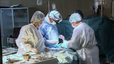 Врачи с большой буквы: Реальные истории людей, жизни которых спасли петербургские медики