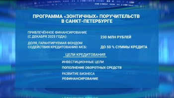 Александр Беглов: Малый и средний бизнес Петербурга привлёк более 230 млн рублей по новой программе «зонтичных» поручительств
