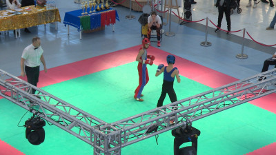 Турнир посвятили Дню защитника Отечества: в Петербурге прошел первый этап Всероссийских соревнований по савату