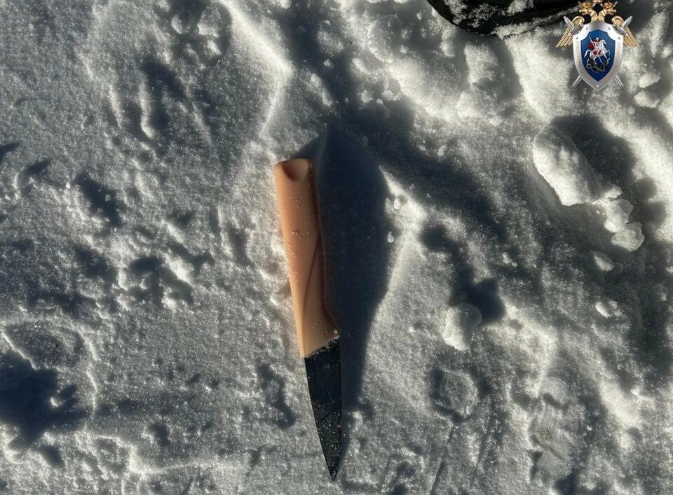 Житель Светогорска убил знакомого ударом ножа из ревности - tvspb.ru