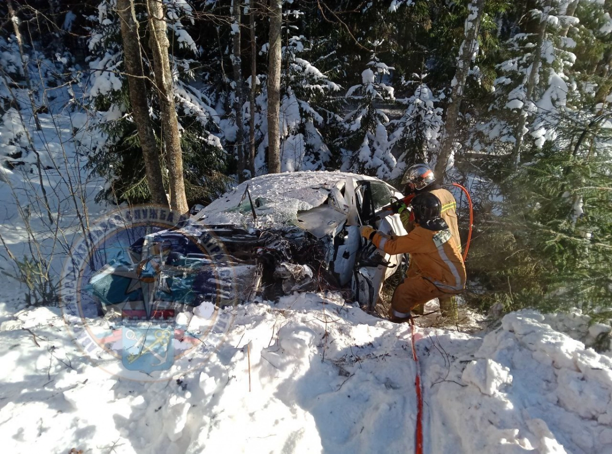 В Ленобласти бензовоз столкнулся с легковушкой, водителя госпитализировали - tvspb.ru