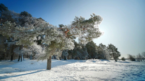 Бесконечная зима. Аномальные морозы, рекордные снегопады и глобальное потепление