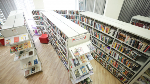 Комфортные зоны для чтения и творческих активностей, электронные каталоги и цифровые архивы — реновация городских библиотек