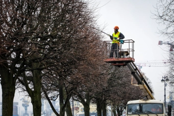 Александр Беглов: Садово-парковые предприятия Петербурга готовятся к весне – в городе началась формовочная обрезка деревьев