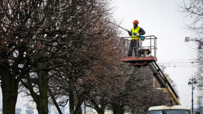Александр Беглов: Садово-парковые предприятия Петербурга готовятся к весне – в городе началась формовочная обрезка деревьев