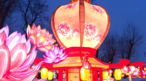 Фестиваль Китайских фонарей в Петербурге.