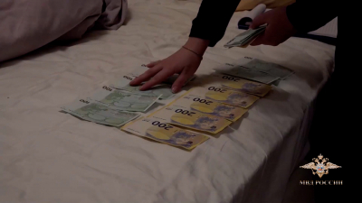 Троих черных риелторов задержали в Ленинградской области