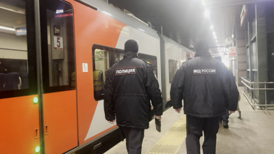 24 тайника в лесополосе: под Петербургом задержали мужчину с крупной партией синтетического наркотика