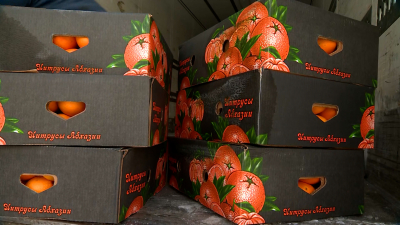 Абхазия передала 15 тонн апельсинов для соцучреждений Петербурга