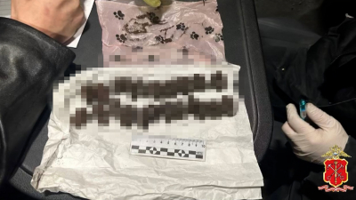 В Петербурге задержали 43-летнюю подозреваемую в организации крупной сети по сбыту наркотиков