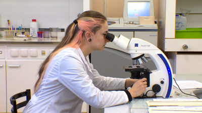 В СПбГПМУ приблизились к разгадке причин развития болезни Гиршпрунга