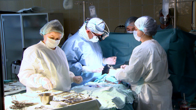 Петербургские медики провели 296 трансплантаций за 2025 год