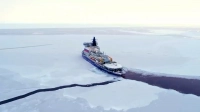 Финский залив сковало льдом — на помощь из Арктики отправили атомный ледокол «Сибирь»