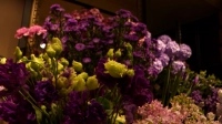 С начала года в Петербург из других стран ввезли 8 миллионов цветов для букетов