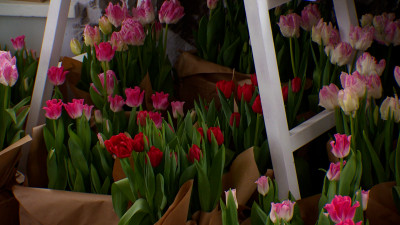 «Весна на высоте»: в Думской башне открылся фестиваль цветов