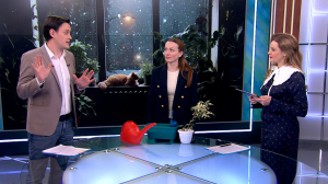 Пересадка комнатных цветов в феврале. Рекомендации для пышного роста растений