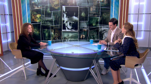 Взгляд на мир через объектив