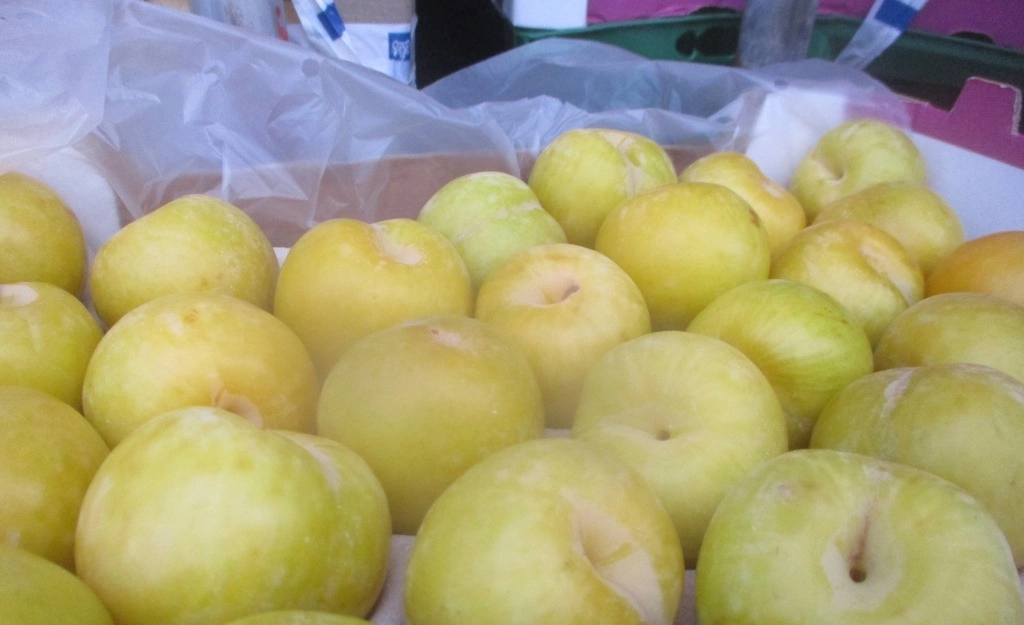 Более 56 тонн зараженных нектаринов не допустили к ввозу в Россию - tvspb.ru