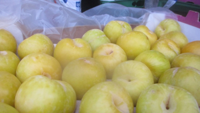 Более 56 тонн зараженных нектаринов не допустили к ввозу в Россию