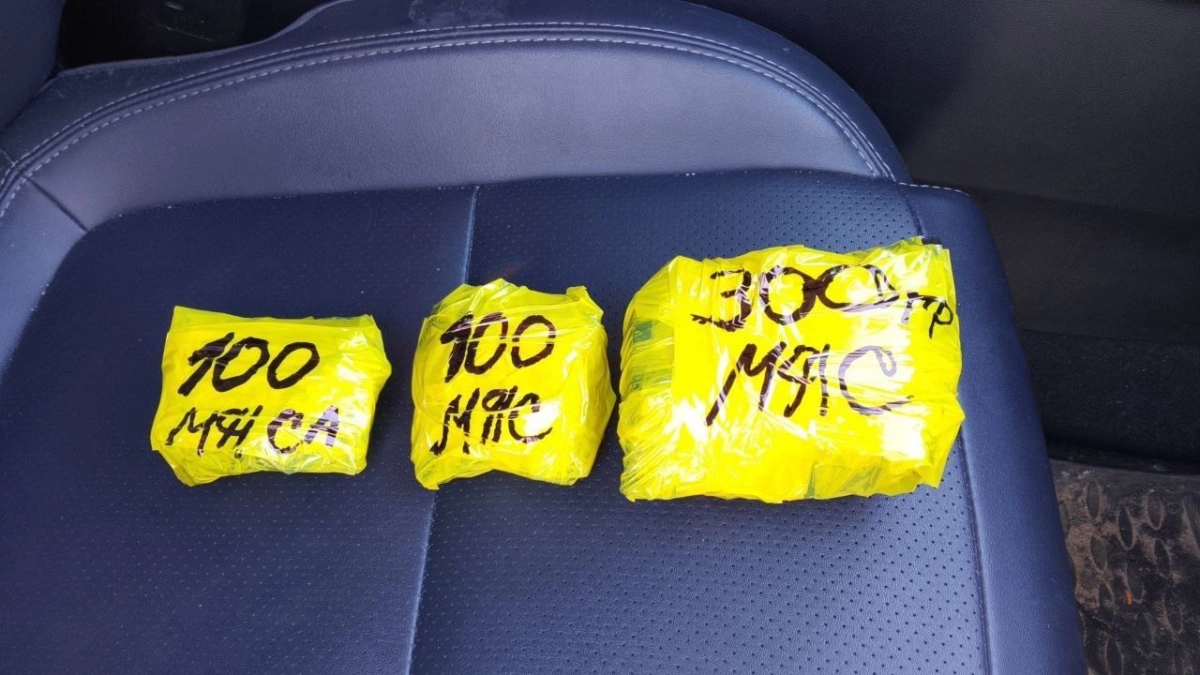 Каршеринг под «запрещенку»: во Мге полиция задержала водителя с 300 граммами наркотиков и 22 судимостями - tvspb.ru