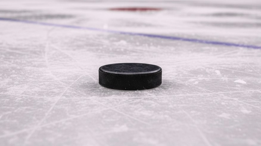 Догнал канадца: бывший нападающий СКА Иван Демидов стал лучшим бомбардиром среди новичков НХЛ - tvspb.ru