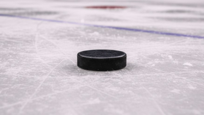 Александр Беглов: Хоккейный матч между ветеранами локальных войн и членами городского правительства состоится накануне X Санкт-Петербургского международного форума труда