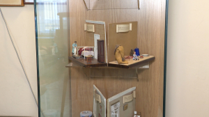 «Иммунитет. Вакцинация. Профилактика инфекционных заболеваний»: выставка в Музее гигиены в Неделю иммунитета