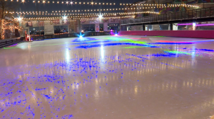 Все на коньки! Бесплатные сеансы с видом на Финский залив