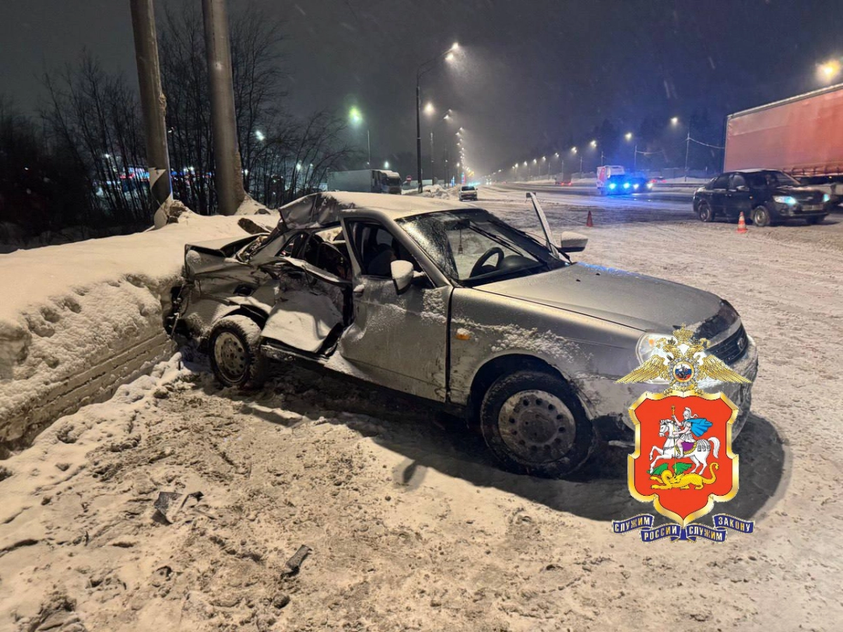 Двухлетний ребенок погиб в аварии с грузовиком в Подмосковье, а его мать пострадала - tvspb.ru