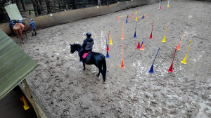 Счастье общения: как иппотерапия помогает людям восстановить душевное равновесие