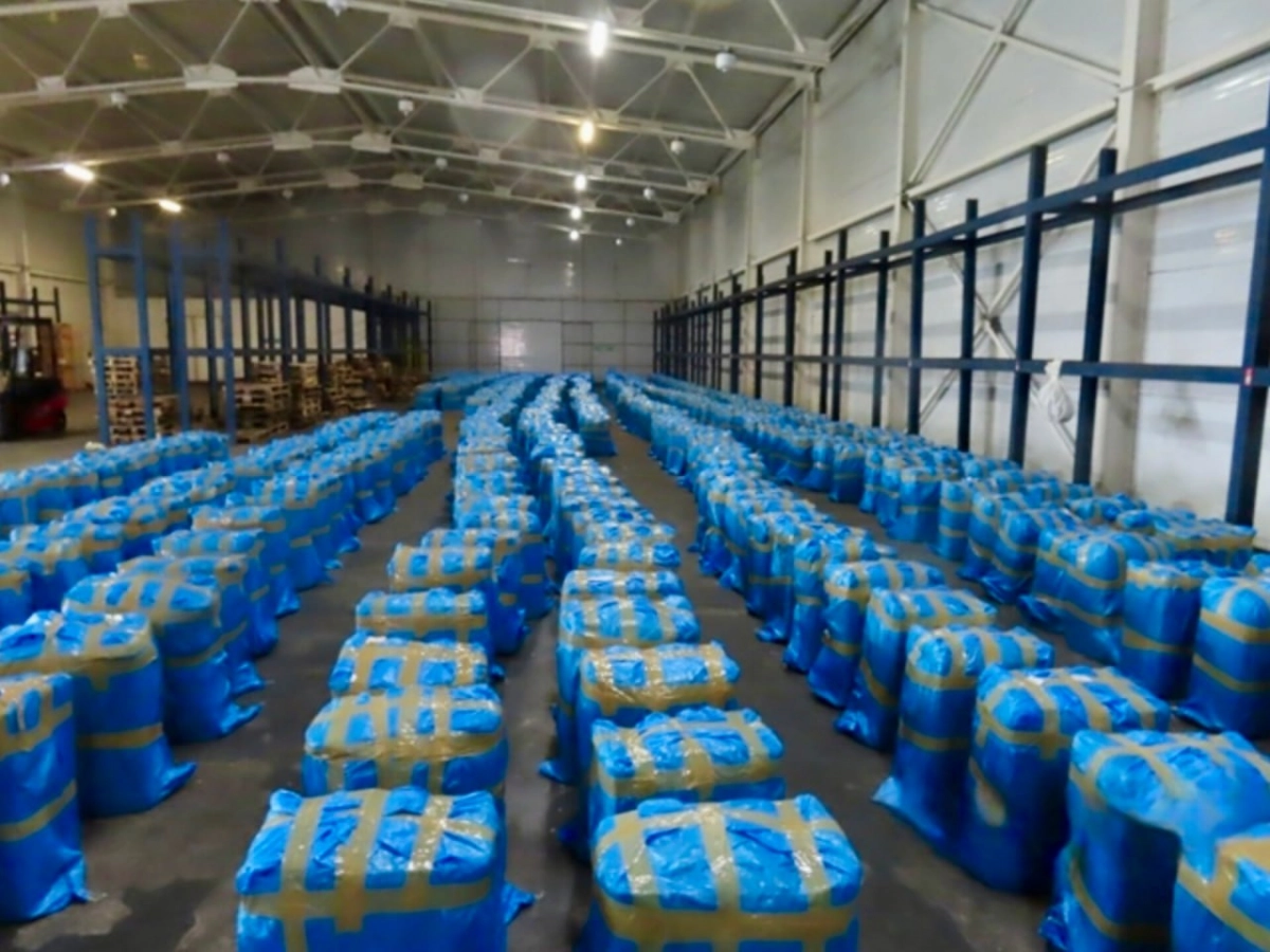 В Дагестане таможенники нашли в фуре 122 кг наркотиков более чем на 200 млн рублей - tvspb.ru