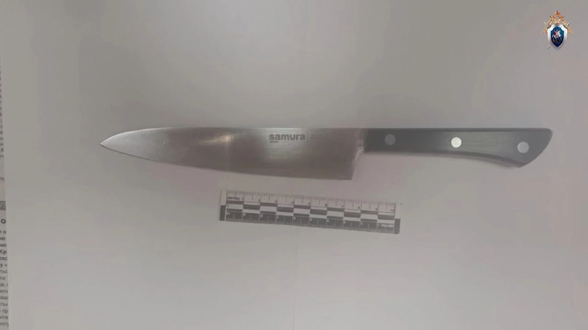 Появилось фото ножа, которым школьница пырнула учителя в Красноярском крае - tvspb.ru