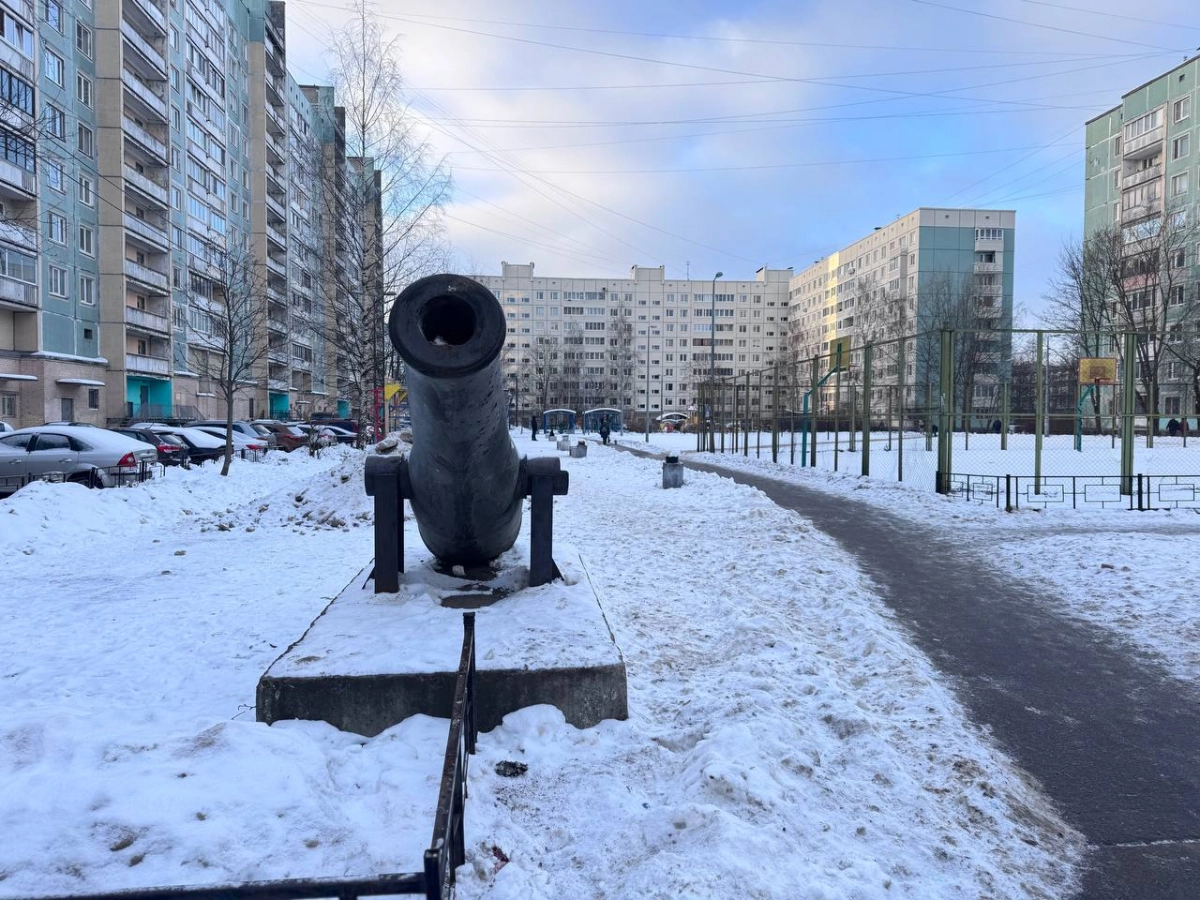 Необычный элемент благоустройства: в одном из дворов на проспекте Просвещения ГАТИ нашли пушку 1858 года - tvspb.ru