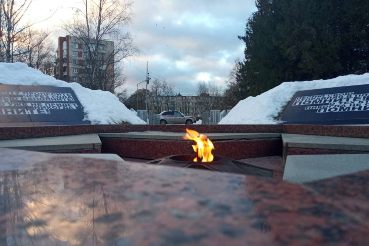 В Киришах задержали женщину, укравшую цветы у Вечного огня - tvspb.ru