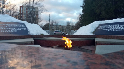 В Киришах задержали женщину, укравшую цветы у Вечного огня