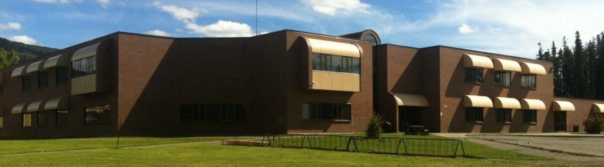 Женщина устроила стрельбу в школе в Канаде: что известно о массовом убийстве - tvspb.ru