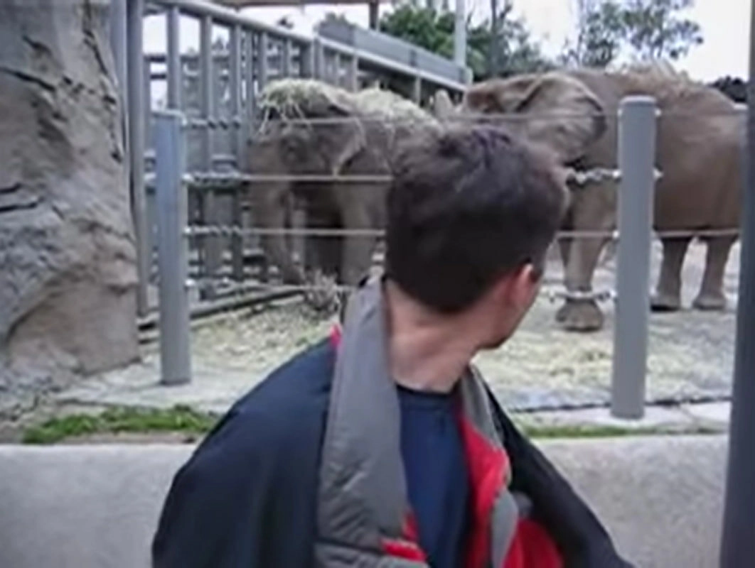 Первое видео YouTube стало музейным экспонатом в Лондоне - tvspb.ru