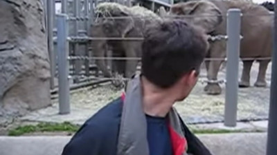 Первое видео YouTube стало музейным экспонатом в Лондоне