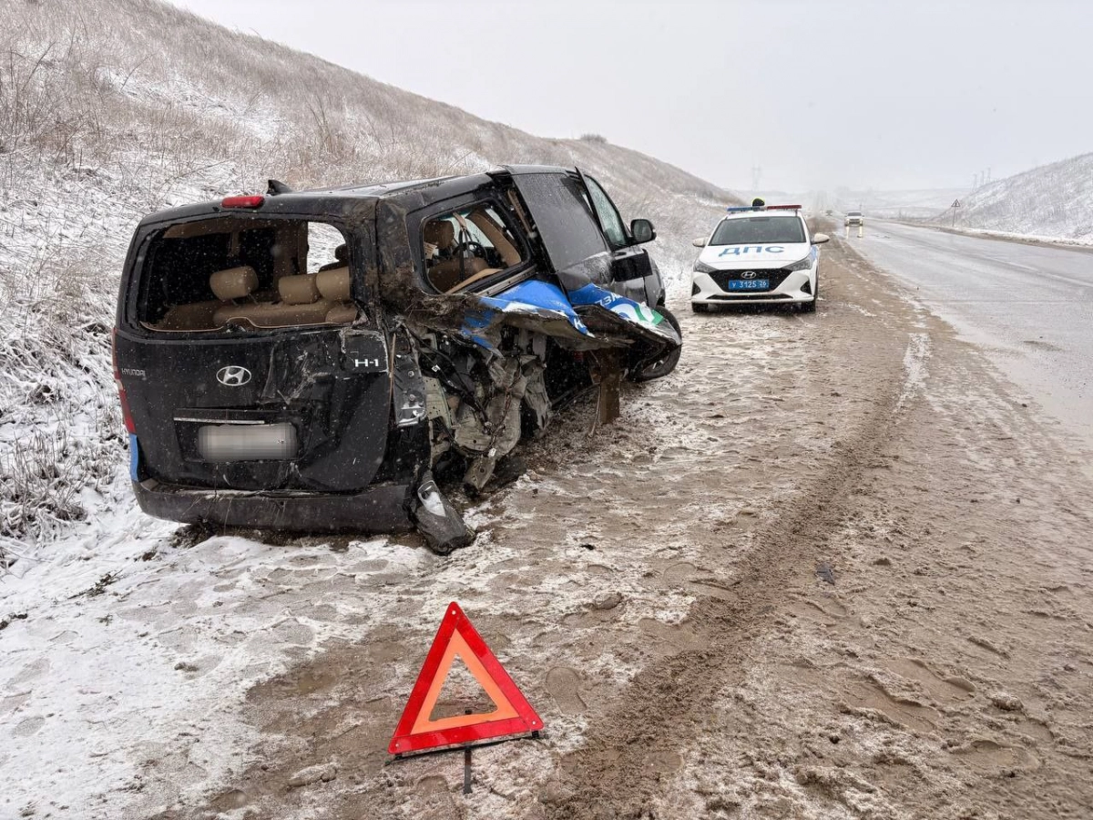 В ДТП с минивэном в Ставропольском крае пострадали 5 детей - tvspb.ru