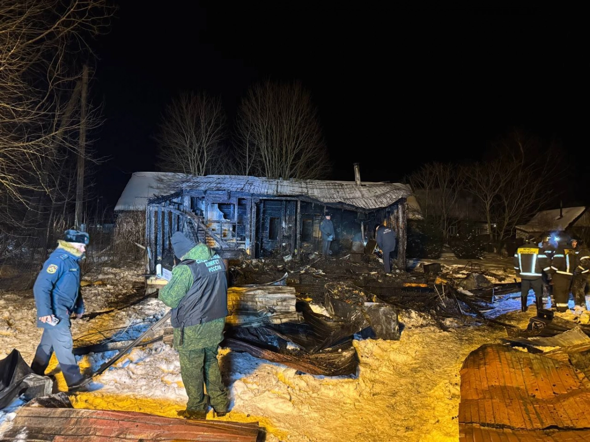 При пожаре в Псковской области погибли женщина и ее шестилетний сын - tvspb.ru