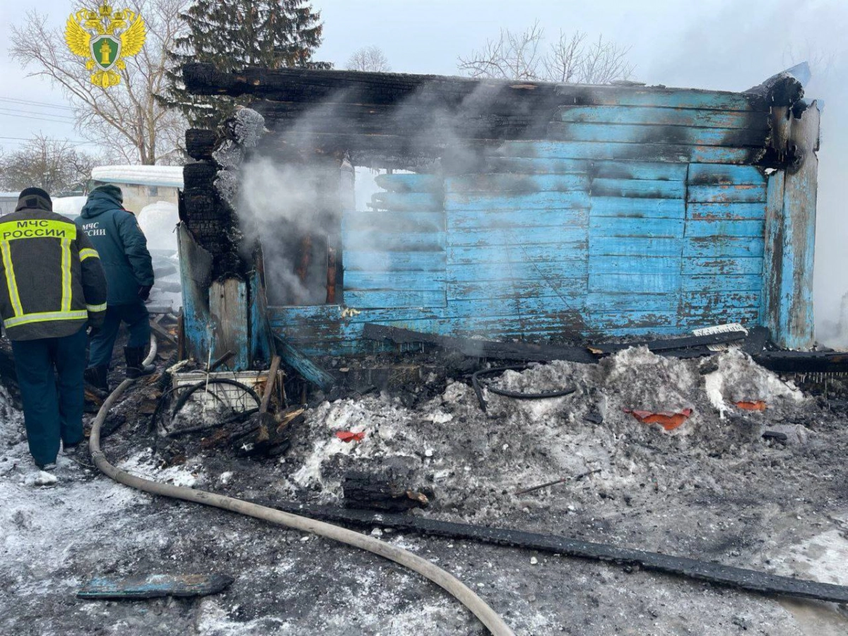 Семья с двумя детьми погибла в пожаре под Рязанью, возбуждено уголовное дело - tvspb.ru