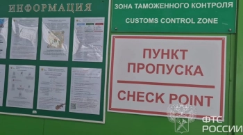 За прошлый год ФТС России пресекла ввоз и вывоз драгоценностей на 1,2 млрд рублей