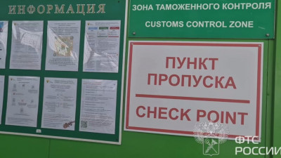 За прошлый год ФТС России пресекла ввоз и вывоз драгоценностей на 1,2 млрд рублей