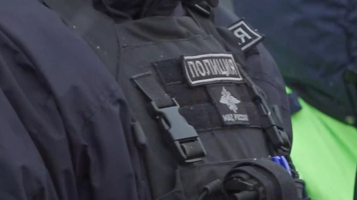 Поддельные номера и миграционные нарушения: полиция провела рейд в центре Петербурга - tvspb.ru