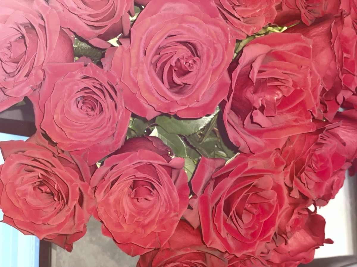 Только 30% петербуржцев подарят цветы своим любимым в День святого Валентина - tvspb.ru