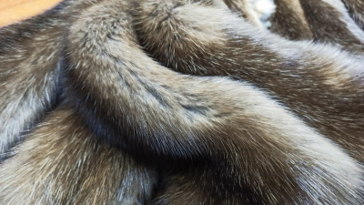 Из Петербурга отправили почти 57 тысяч меховых шкурок в Камбоджу и Таиланд