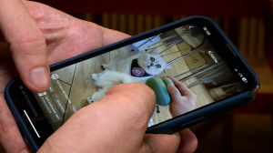 Не устаёт, не ошибается и теперь умеет рисовать не просто «котиков на Луне»: ИИ — это не будущее, это уже сегодня